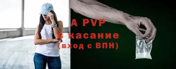 крисы Абаза