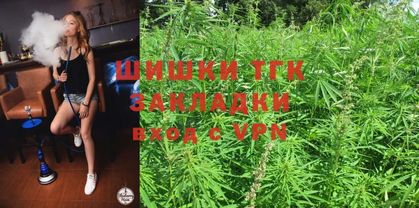 крисы Абаза