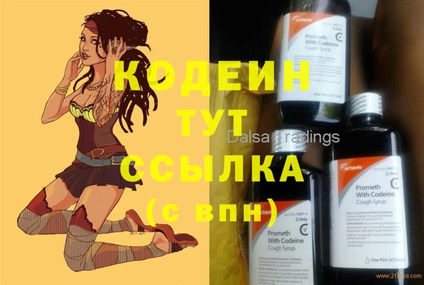 крисы Абаза
