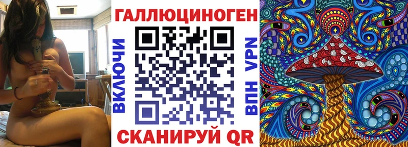 мега ТОР  Сурск  Псилоцибиновые грибы Cubensis  цены  