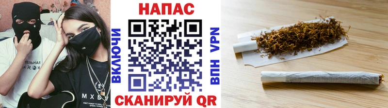 Бошки марихуана конопля  Сурск 